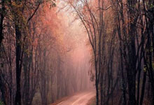 春游踏青 这份安全攻略请收好2025-03-12.