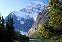 鲸鱼体育：欧冠-萨卡传射哈弗茨破门 阿森纳5-1葡萄牙体育.