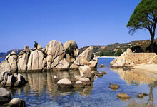 鲸鱼体育：这里有座“体育超市”人民日报.